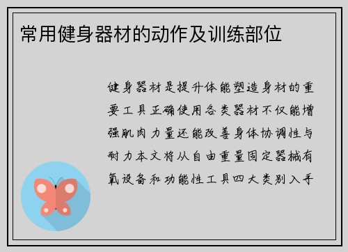 常用健身器材的动作及训练部位