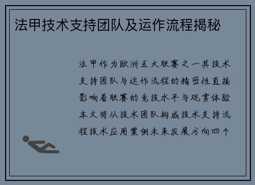法甲技术支持团队及运作流程揭秘